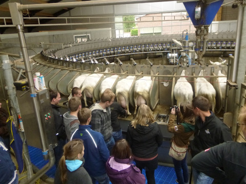 05_2014_ Ldw. Lehrfahrt Holland (41).JPG