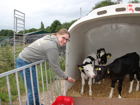 2014_06_Milch Kaese Eis u Co (193).JPG