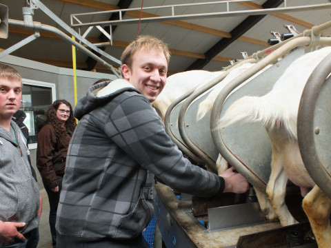 05_2014_ Ldw. Lehrfahrt Holland (27).JPG