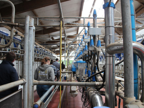 2014_06_Milch Kaese Eis u Co (150).JPG