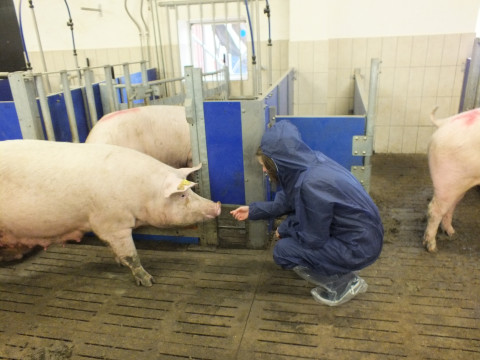 05_2014_ Ldw. Lehrfahrt Holland (3).JPG