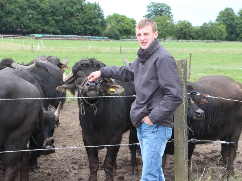 2014_06_Milch Kaese Eis u Co (34).JPG