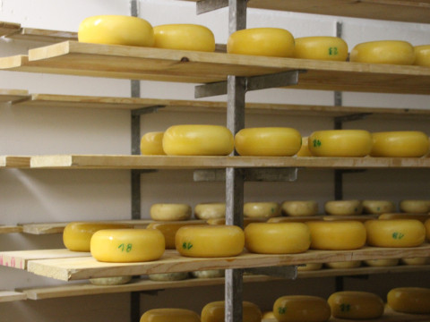 2014_06_Milch Kaese Eis u Co (213).JPG