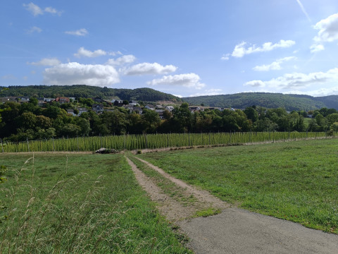 2026-09 Hopfen und Malz (2).jpg