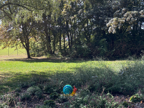 2026-09 Landesgartenschau (11).jpeg