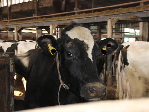 2014_03_Arbeitskreis Berlin_Agrar (34).JPG