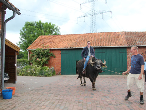 2014_06_Milch Kaese Eis u Co (96).JPG