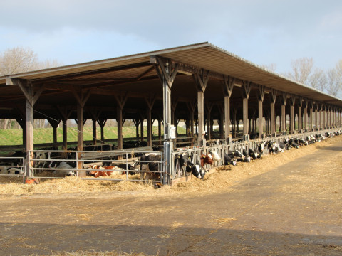 2014_03_Arbeitskreis Berlin_Agrar (14).JPG