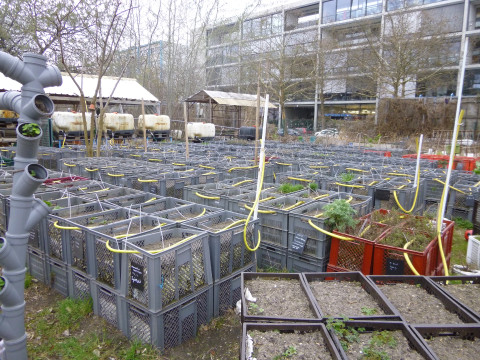 2014_03_Arbeitskreis Berlin (133).JPG