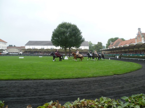 Hengstparade Eleganz im Damensattel.jpg
