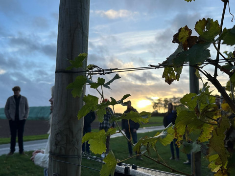 2025-10 HAS Herbst OL (5).jpeg