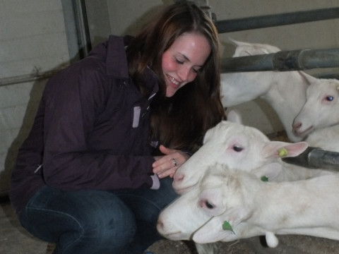 05_2014_ Ldw. Lehrfahrt Holland (48).JPG