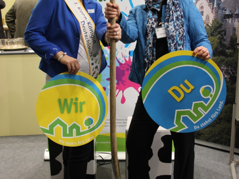 2014_01_IGW_Niedersachsenabend (76).JPG