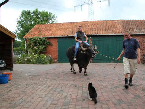 2014_06_Milch Kaese Eis u Co (101).JPG