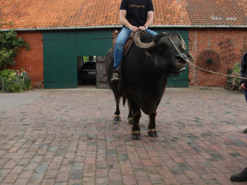 2014_06_Milch Kaese Eis u Co (104).JPG