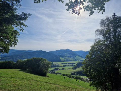2022-09 Gipfelstürmer-Wandern im SChwarzwald (8).jpg