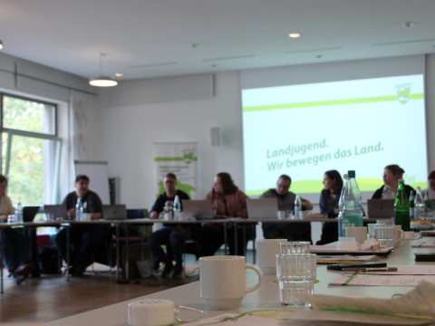 2025-10 HAS Herbst OL (1).JPG